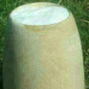 Meet your Posher, Jesus is my savior